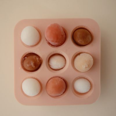 Mushie Fresh Food Diepvries Tray - Blush