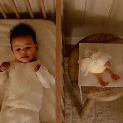 Little Dutch Newborn Knuffelgans Licht & Geluid