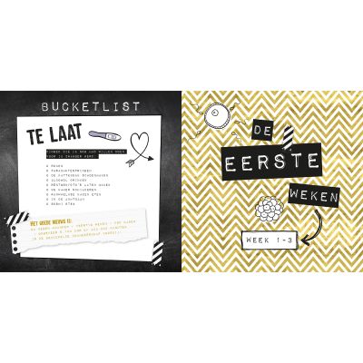 Lantaarn Publishers Negen Maandenboek
