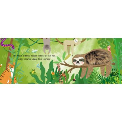 Lantaarn Kijk En Voel - Jungledieren