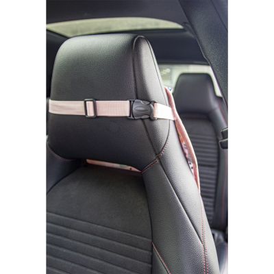 Babyjem Auto Opbergtas Roze