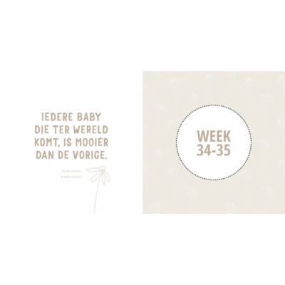 Lantaarn Mijn Negen Maanden Babyboek - Maak Een Unieke Herinnering
