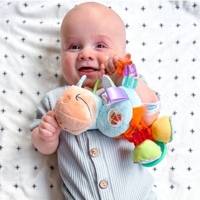 Playgro Clip Clop Activity Rattle