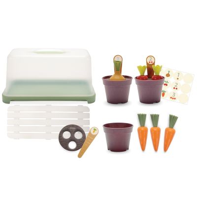 Dantoy BIO Mini Serre Set Green Garden