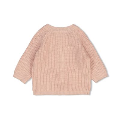 Feetje Vestje Gebreid The Magic is in You Roze 56