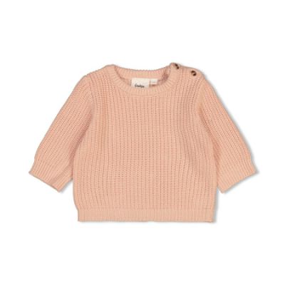 Feetje Sweater Gebreid The Magic is in You Roze