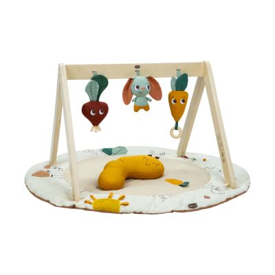 Tiny Love Luxe Gymini Garden Of Adventures