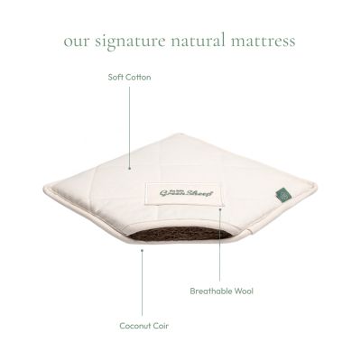The Little Green Sheep Moses Mandje En Matras Organic Knitted Juniper