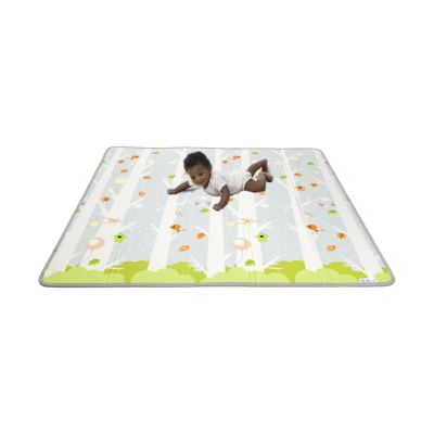 Chicco Maxi Tapijt 2 In 1