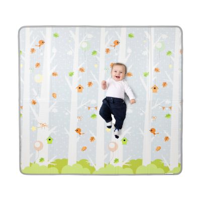 Chicco Maxi Tapijt 2 In 1