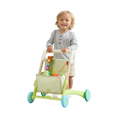Skip Hop Babywalker 5-in-1 Skip Hop Babywalker 5-in-1