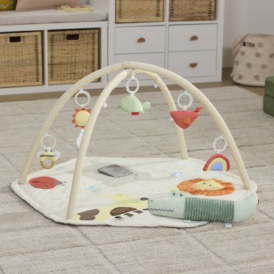 Skip Hop Geometric Wonders Babygym