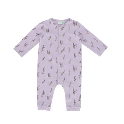 Babylook Lavender Boxpak