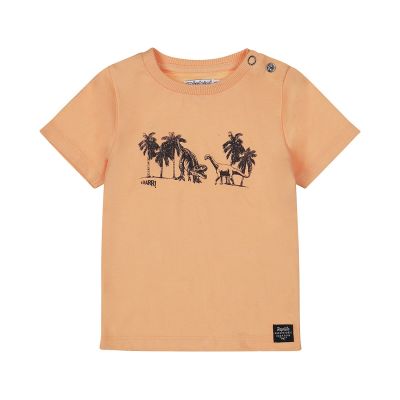 Dirkje Palms T-Shirt Korte Mouw - Bright Orange
