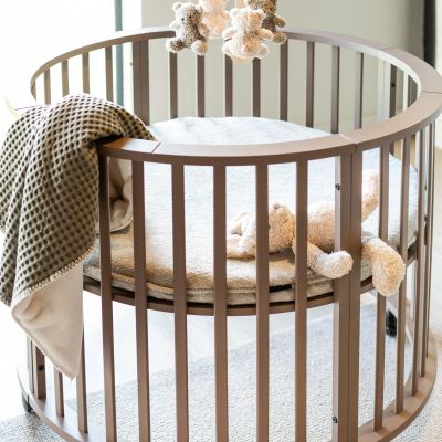 Europe Baby Box Circa - Chestnut