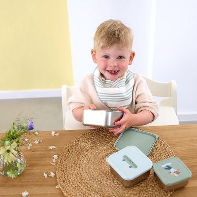 Lässig Tiny Team Dog Snackbox - 3 Stuks - Roestvrijstaal - Groen Lässig Tiny Team Dog Snackbox - 3 Stuks - Roestvrijstaal - Groen