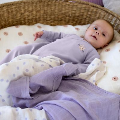 Lässig Tiny Team Swaddle - 3 Stuks - 80 x 80 cm - Heavenly Soft - Pastel Lilac Lässig Tiny Team Swaddle - 3 Stuks - 80 x 80 cm - Heavenly Soft - Pastel Lilac