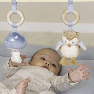 Little Dutch Babygym Forest Friends FSC