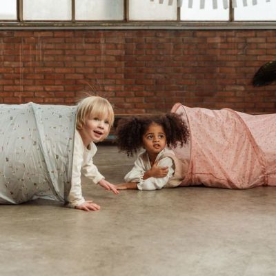 Little Dutch Forest Friends Kruiptunnel