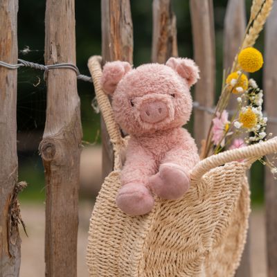 Little Dutch Knuffel Varken Little Farm 17 cm
