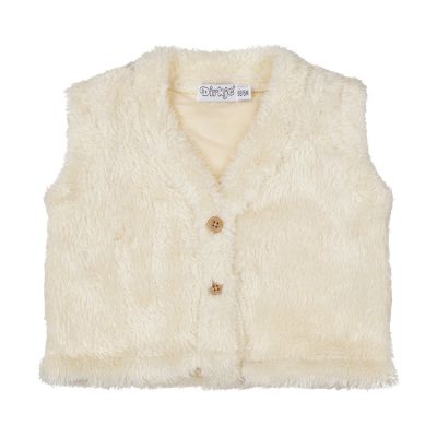 Dirkje Gilet