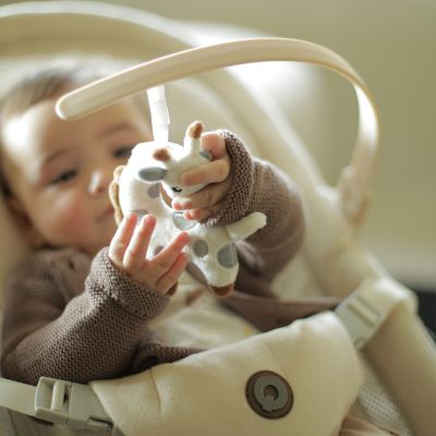 Qute Bouncer Q-Divan Ivory velvet Qute Bouncer Q-Divan Ivory velvet