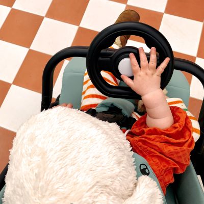 Easywalker Steering Wheel