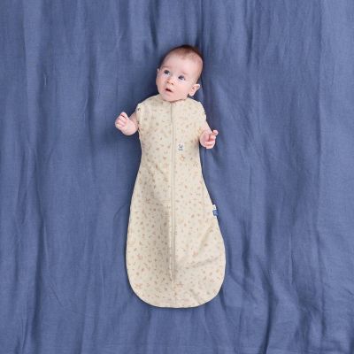 Ergopouch Cocoon Inbakerslaapzak - 3-6 Mnd - TOG 0.2 - Jersey - Lullaby