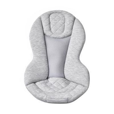 Ergobaby Bouncer Evolve Grijs