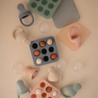 Mushie Fresh Food Diepvries Tray - Blush