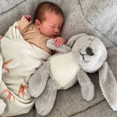 Flow Amsterdam Knuffel Met Hartslag Milo Grey