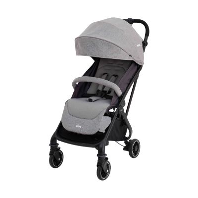 Joie Tourist™ Buggy
