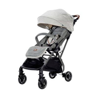 Joie Tourist™ Buggy