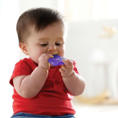Munchkin Fun Ice Chewer