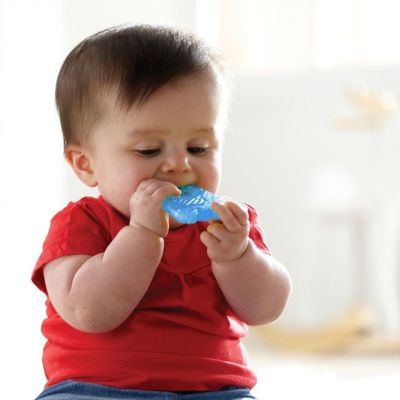 Munchkin Fun Ice Chewer