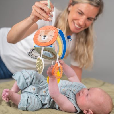 Taf Toys Activiteitenkubus Savannah
