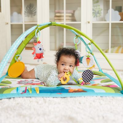 Tiny Love Gymini Sunny Day Meadow Days Tiny Love Gymini Sunny Day Meadow Days